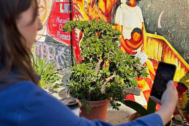 Exploring the Mission District's refugee history in Balmy Alley